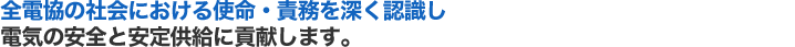 全電協の社会における使命・責務を深く認識し電気の安全と安定供給に貢献します。